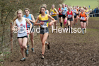 Womens under-17s, 2020 British Athletics Inter Counties Cross Country Champs., Prestwold Hall, Loughborough. Photo: David T. Hewitson/Sports for All Pics